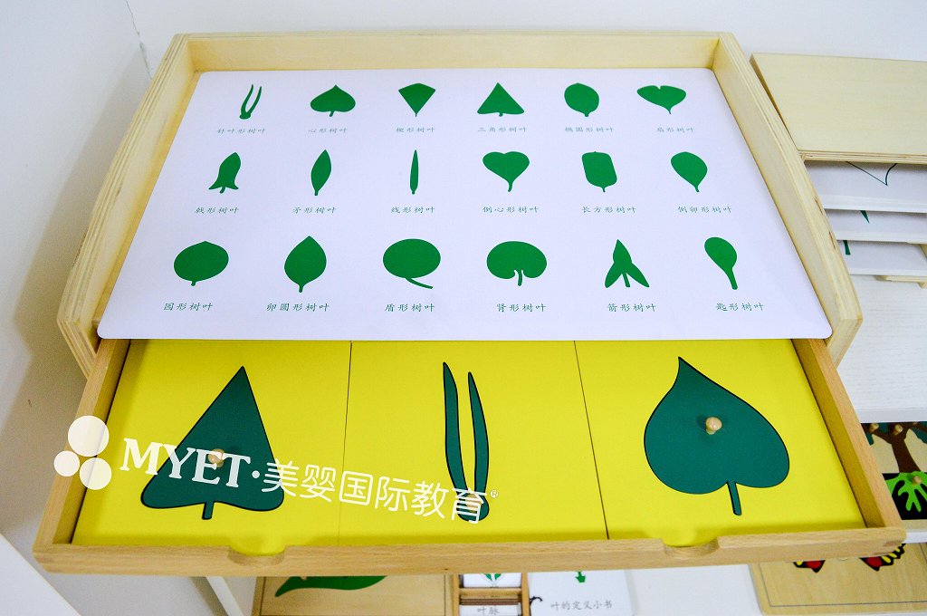 蒙氏科学文化区域